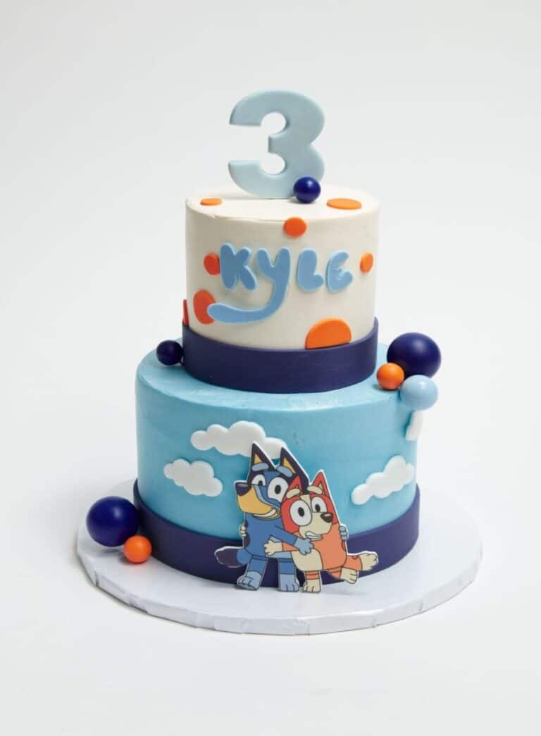 Bluey and Bingo Cake